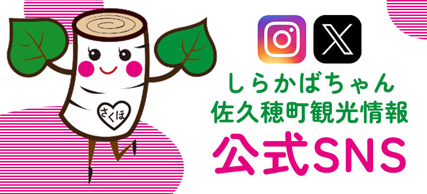 しらかばちゃん公式SNS