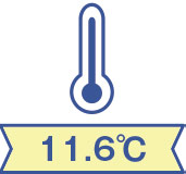 11.6度