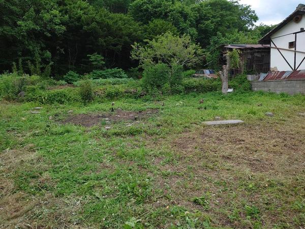 登録番号 土地‐24 針ノ木沢